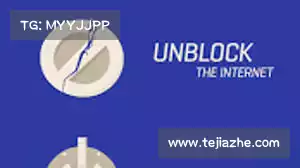 raptor加速器官网下载——尽享个性化服务，随心设置，体验无与伦比的便利与灵活！